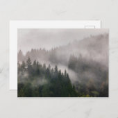 山の霧深い森林 ポストカード (正面/裏面)