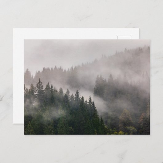 山の霧深い森林 ポストカード (正面/裏面)