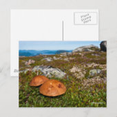 山の風景の写真のポストカード。 ノルウェー ポストカード (正面/裏面)