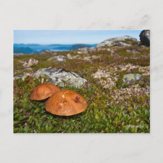 山の風景の写真のポストカード。 ノルウェー ポストカード