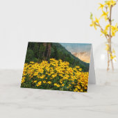 山の黒い目のサザンズ カード (黄色い花)