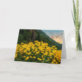 山の黒い目のサザンズ カード (正面)