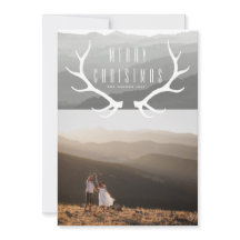 山の〔雄ジカの〕枝角 |クリスマスフォト