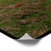 山を征服する ポスター (角)