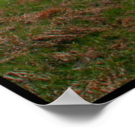 山を征服する ポスター (角)