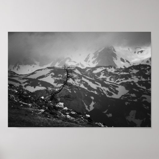山を望む素晴らし孤独な木 ポスター (正面)
