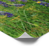 山アダムスとルピネス大統領の山脈 ポスター (角)