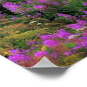 山イリアムナアラスカ ポスター (角)