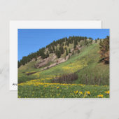 山オティス葉書 ポストカード (正面/裏面)