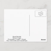 山カターディン ポストカード (裏面)