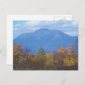 山カターディンStacyville，メイン ポストカード (正面/裏面)