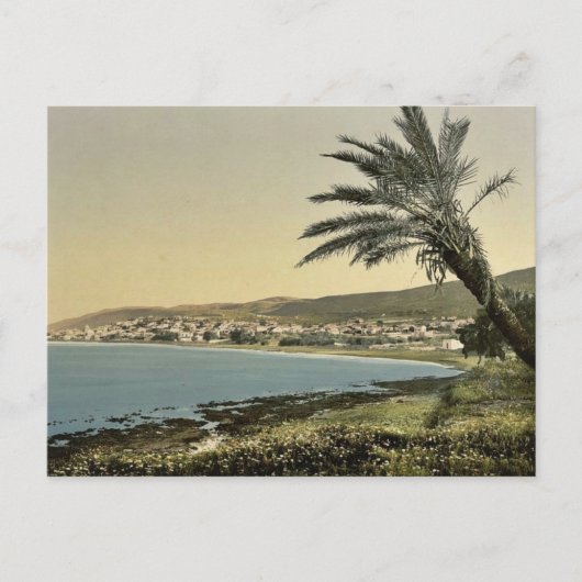 山カーメルの近くの足から見る、Chaifa、(すなわち、 ポストカード (正面)