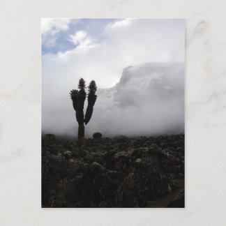 山キリマンジャロ(ポートレート) ポストカード