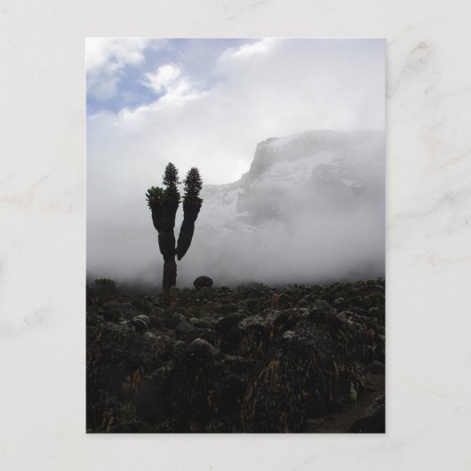 山キリマンジャロ(ポートレート) ポストカード (正面)