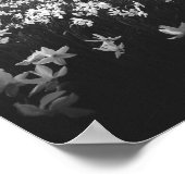 山ゴリカの水仙、スロベニア ポスター (角)