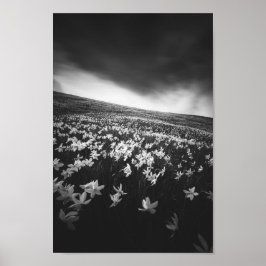 山ゴリカの水仙、スロベニア ポスター