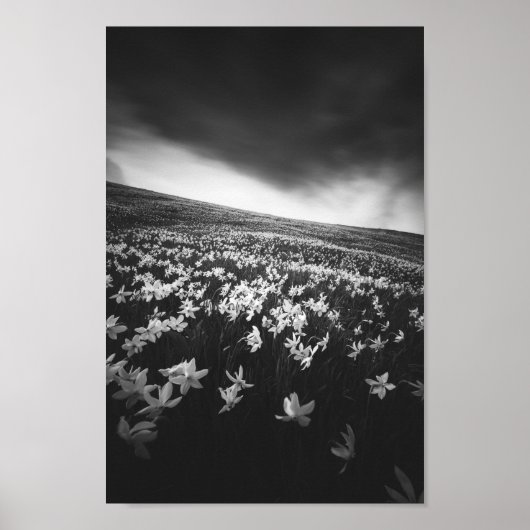 山ゴリカの水仙、スロベニア ポスター (正面)