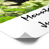 山ゴリラぶら下がったが着いた！ ポスター (角)