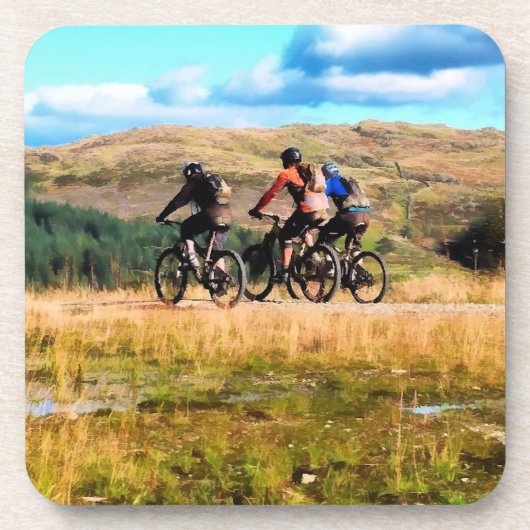 山サイクリング コースター (正面)