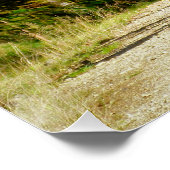 山サイクリング ポスター (コーナー)