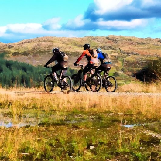 山サイクリング 名刺