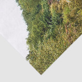 山サイクリング 薄葉紙 (詳細)