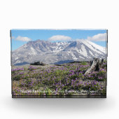 山サンヘレンス野草写真ブロック フォトブロック (正面)