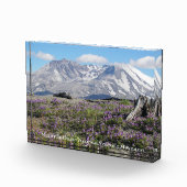 山サンヘレンス野草写真ブロック フォトブロック (右)