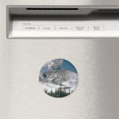 山サンヘレンス – 噴火前 マグネット (インサイチュ (食洗機))