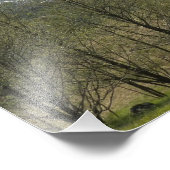 山サンヘレン火山景観 フォトプリント (角)