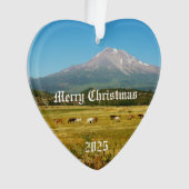 山シャスタホースハートアクリルオーナメント オーナメント (正面)