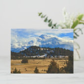 山シャスタ (スタンド正面)