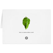 山シャスタ (裏面横)