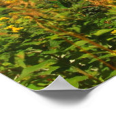 山スナピーレイクスナピービュー ポスター (角)