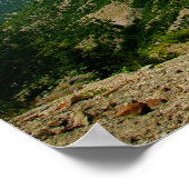 山セントヘレン ポスター (角)