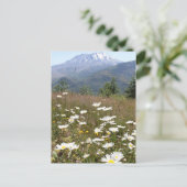 山セントヘレン ポストカード (スタンド正面)