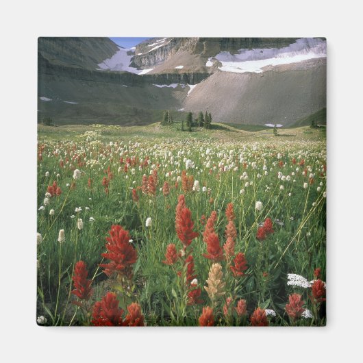 山ティンパノゴス荒野,アメリカ, マグネット (正面)