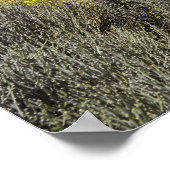 山テイドアットカナリーアイランド ポスター (角)