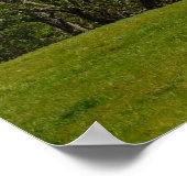 山ディアブロAlamo Caの丘からの眺め。 ポスター (角)