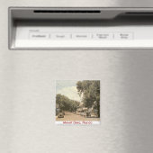 山ドーラ(フロリダ) マグネット (インサイチュ (食洗機))