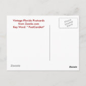 山ドーラ， Fl - Boat House Row - 1907 ポストカード (裏面)