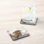 山ノ内町、Chubuの長野県、日本 コースター (右側)