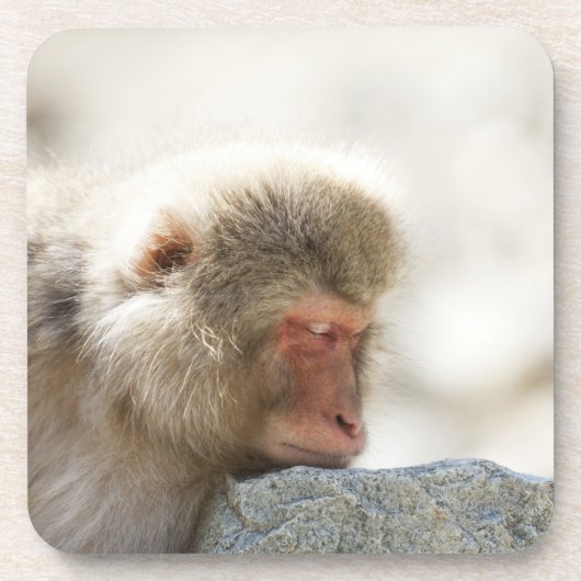 山ノ内町、Chubuの長野県、日本 コースター (正面)