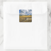 山ハギンNWRニアアナコンダモンタナ スクエアシール (バッグ)