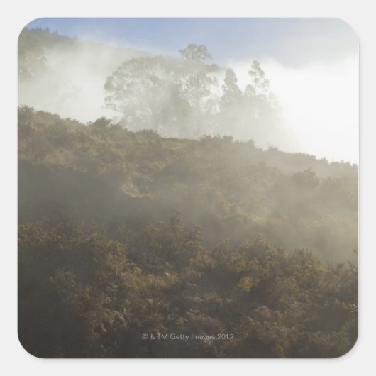 山ハリーアカラ，マウイ，ハワイ，アメリカ スクエアシール (正面)