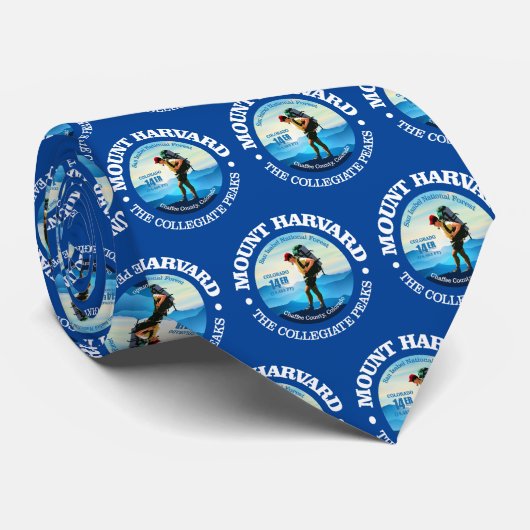 山ハーバード(C) ネクタイ (ロール)
