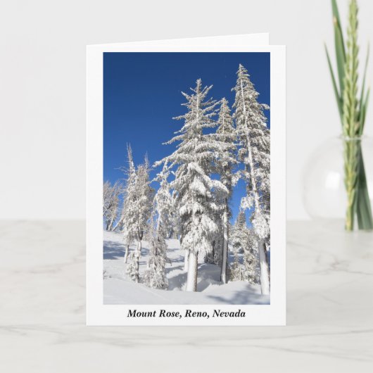 山バラレノネバダフォトバイハルコ カード (正面)