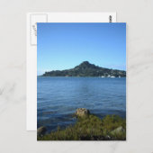 山パク2010年7月コロマンデルニュージーランド ポストカード (正面/裏面)