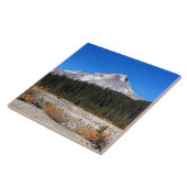 山フード，オレゴン タイル (側面)