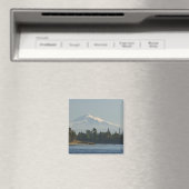 山ベーカーが景観を支配 マグネット (インサイチュ (食洗機))